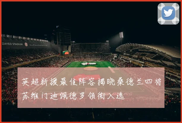 英超新援最佳阵容揭晓桑德兰四将苏维门迪佩德罗领衔入选