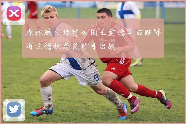 森林狼主场对决国王爱德华兹缺阵海兰德状态良好可出战