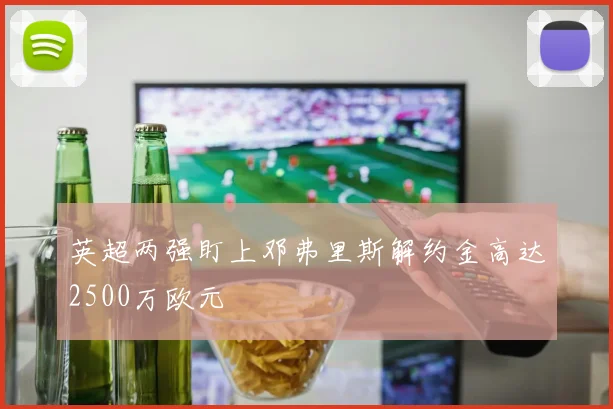 英超两强盯上邓弗里斯解约金高达2500万欧元